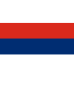 Flag: Misiones Province