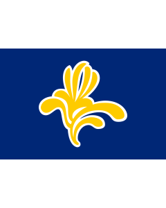 Bandera: Bruselas