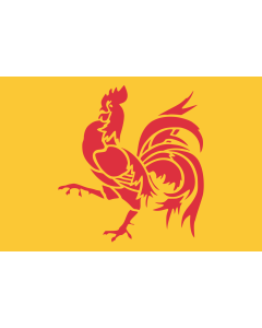 Bandera: Walloon region
