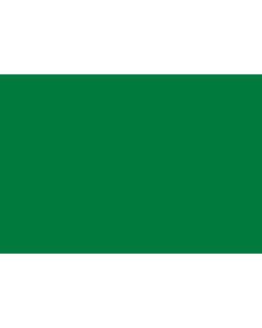 Bandera: Departamento de Beni, Bolivia