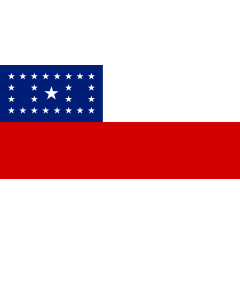 Fahne: Flagge: Amazonas