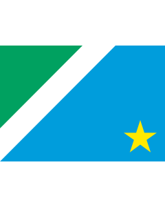 Fahne: Flagge: Mato Grosso do Sul