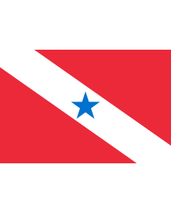Fahne: Flagge: Pará