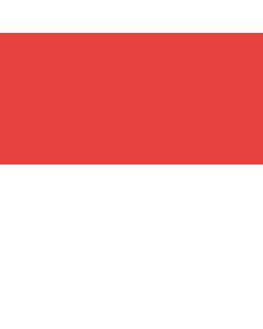 Bandera: cantón de Soleura