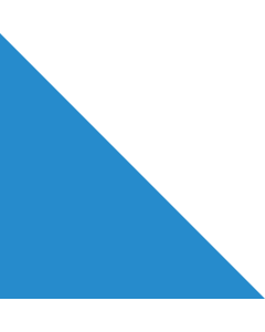 Bandera: Zúrich