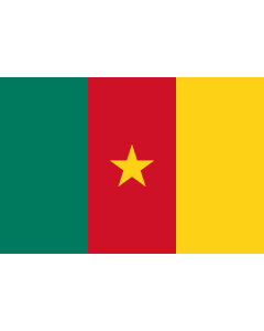 Drapeau: Cameroun