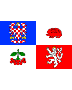 Drapeau: Région de Vysočina