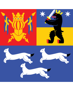 Bandera: Provincia de Finlandia Occidental