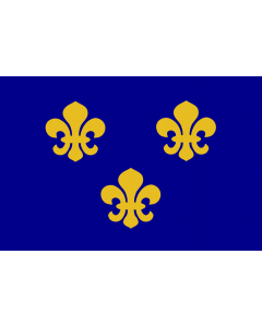 Bandiera: Medieval France | Present day s Île-de-France In 1328, the coat-of-arms of the House of Valois was blue with gold fleurs-de-lis bordered in red