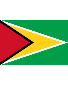 Drapeau: Guyana