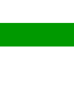 Drapeau: Tonk