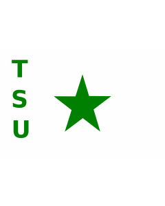 IN-tsu