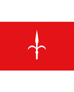 Drapeau: Province de Trieste