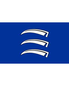 Drapeau: Triesen