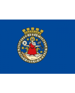 Drapeau: Oslo