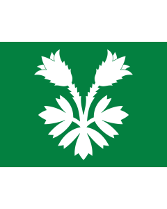 Drapeau: comté d’Oppland
