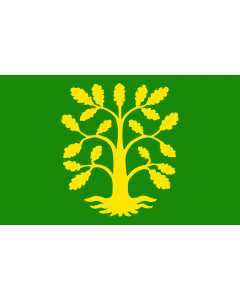 Drapeau: comté de Vest-Agder