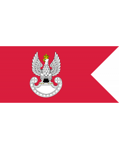 Drapeau: Polish Land Forces | Polish Ground Forces flag. Adopted in 1993 | Wojsk Lądowych. Wprowadzona w 1993
