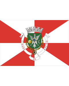 Flag: Aveiro District