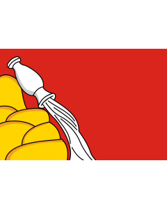 Flag: Voronezh Oblast