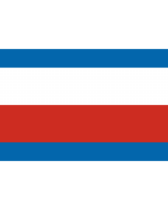 Drapeau: Région de Trenčín