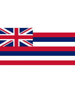 Bandiera: Hawaii