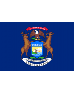 Bandiera: Michigan