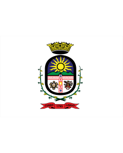 Bandera: Departamento de Cerro Largo