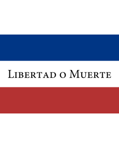 Bandera: Treinta y Tres