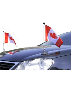  Coppia  Supporto per Auto con adesivo Magnetico Diplomat-1 Canada